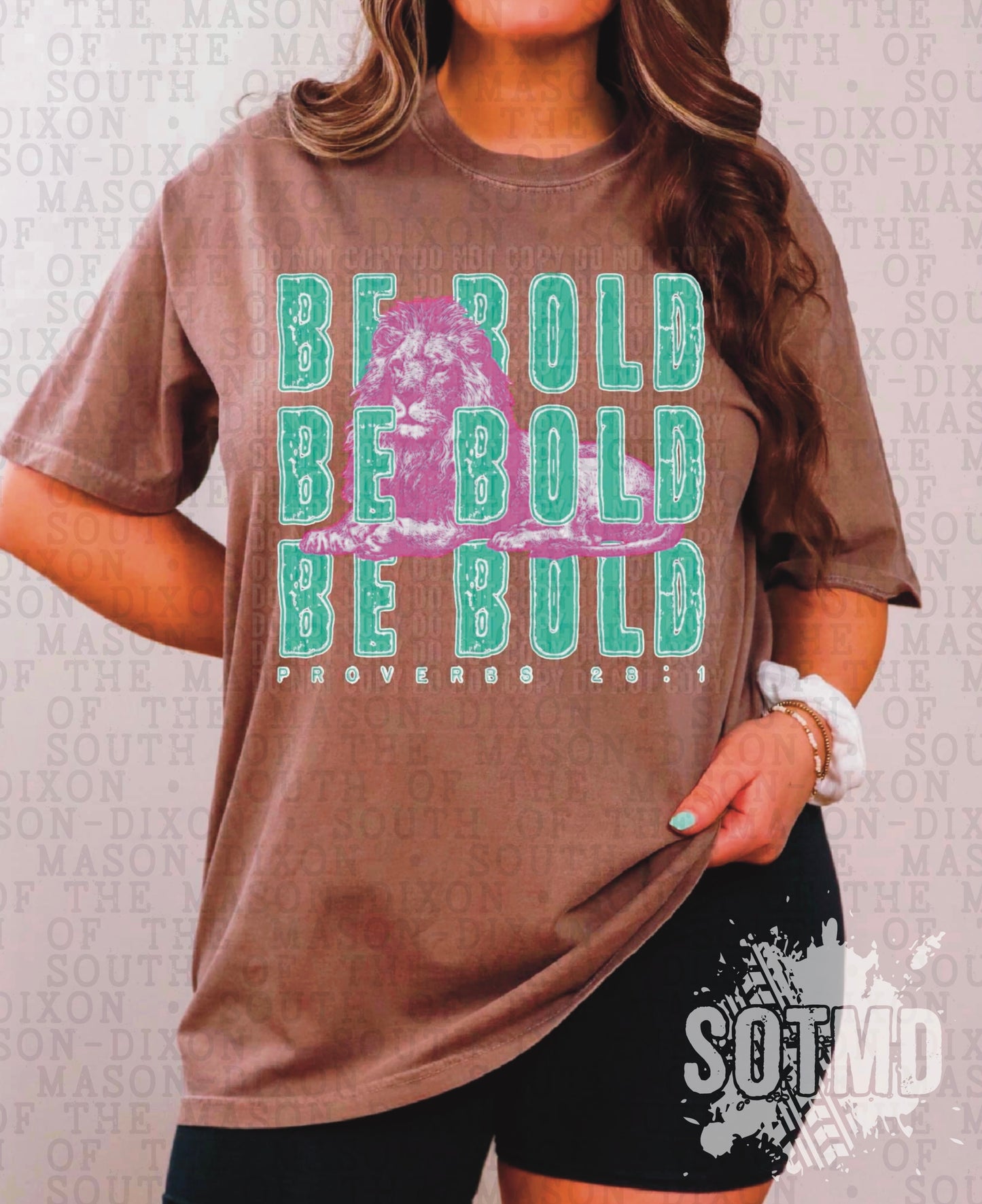 Be Bold (Proverbs 28:1)