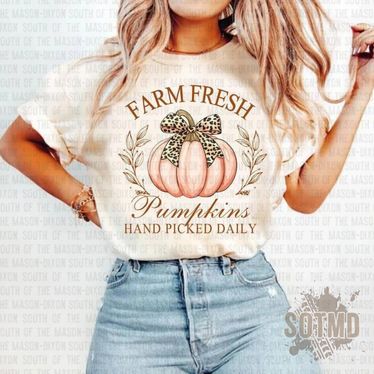 Farm Fresh Pumpkins (Light Pink Pumpkin)